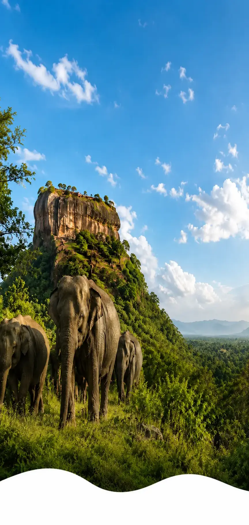 Sri Lanka and Vietnam travel collage with elephants, Sigiriya, rice terraces, limestone cliffs, and lantern streets.